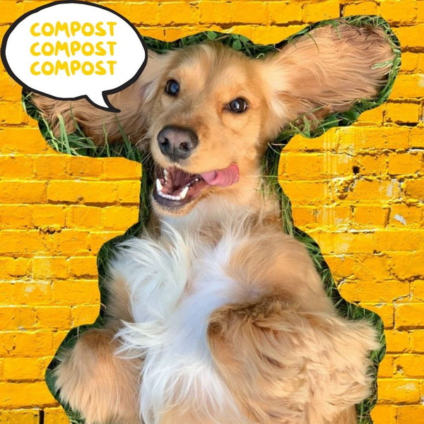 It's International Compost Awareness Week!