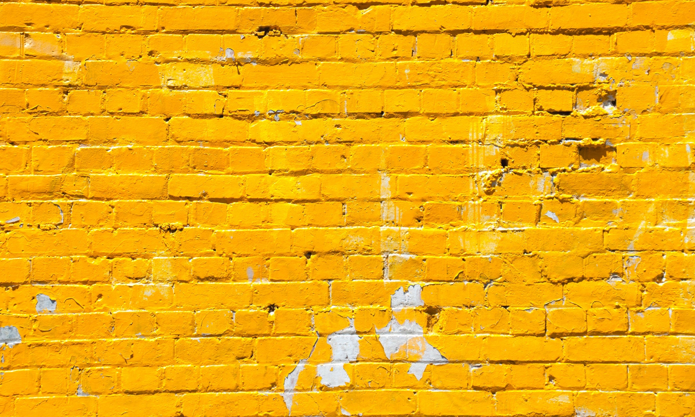 Yellow brick wall for Jerry Bags Biodegradable Poop Bags